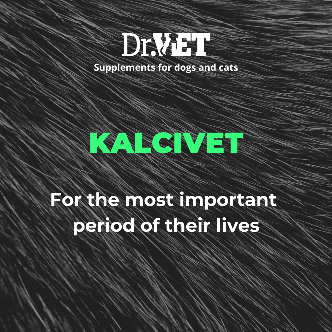 Kalcivet