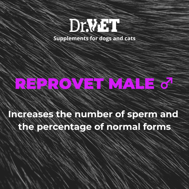 Reprovet male