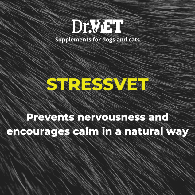 Stressvet