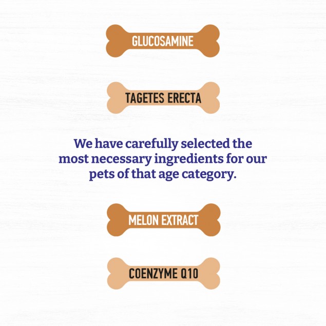 Хранителна добавка за стари кучета