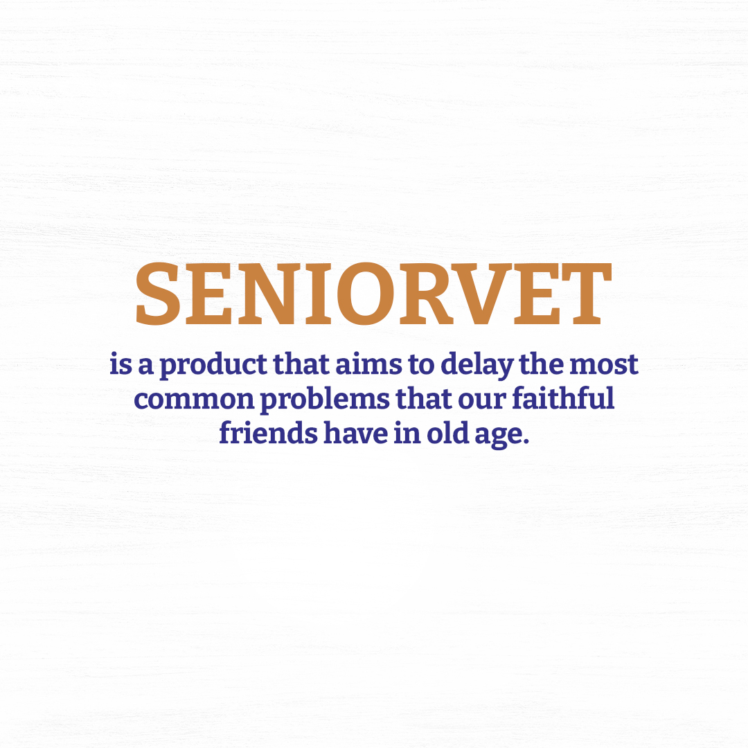 Хранителна добавка за стари кучета