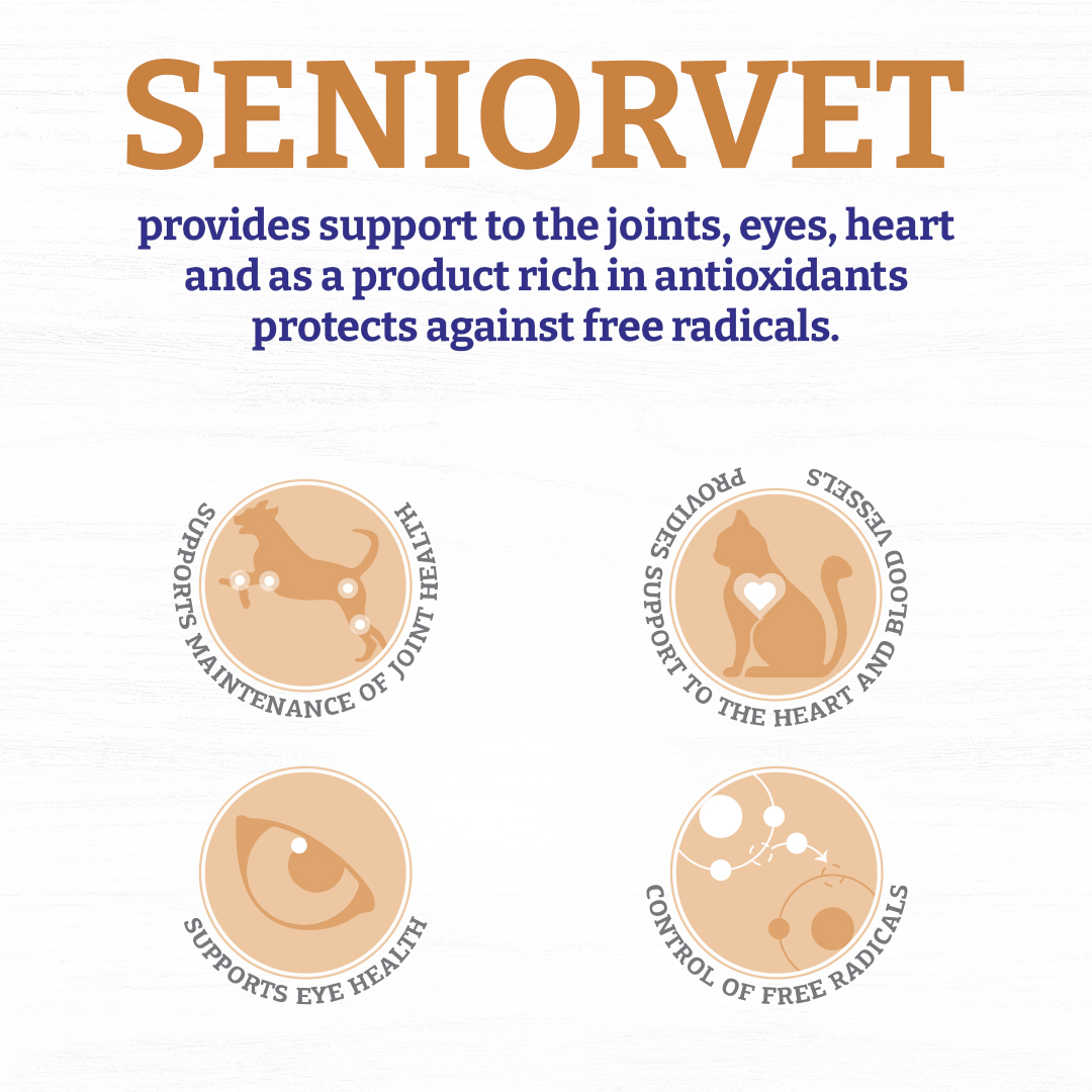 Хранителна добавка за стари кучета