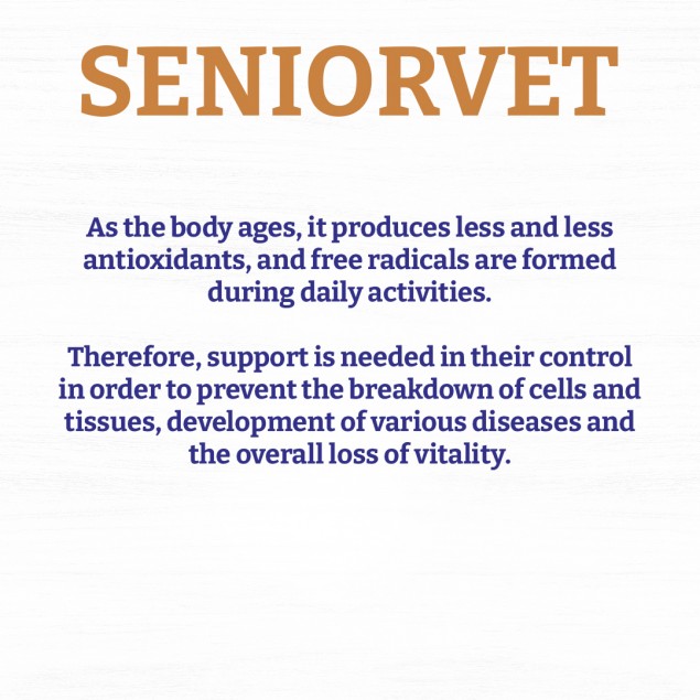 Хранителна добавка за стари кучета