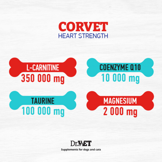 Corvet