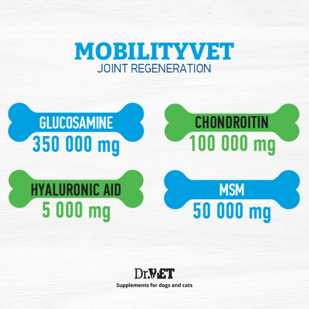 Mobilityvet