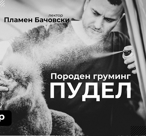 Семинар декември 2022: Груминг на пудел с Пламен Бачовски