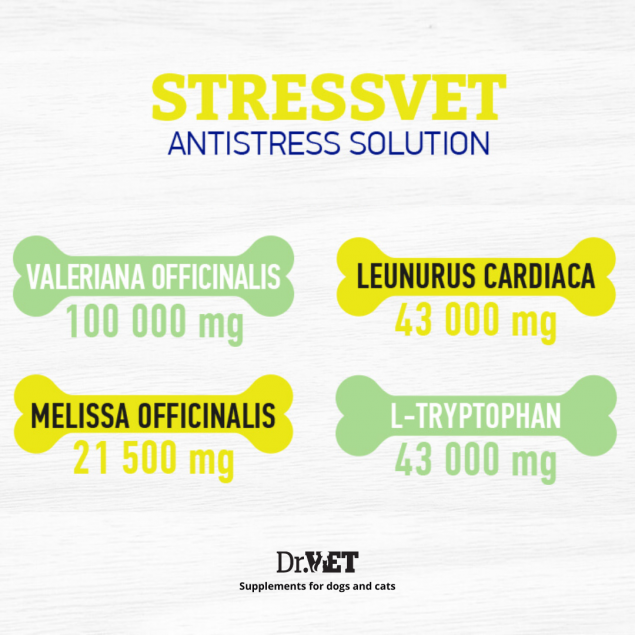 Stressvet
