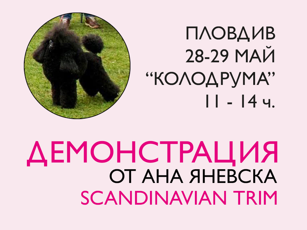 ПОКАНА ЗА ДЕМОНСТРАЦИЯ – шоу груминг – Scandinavian Trim