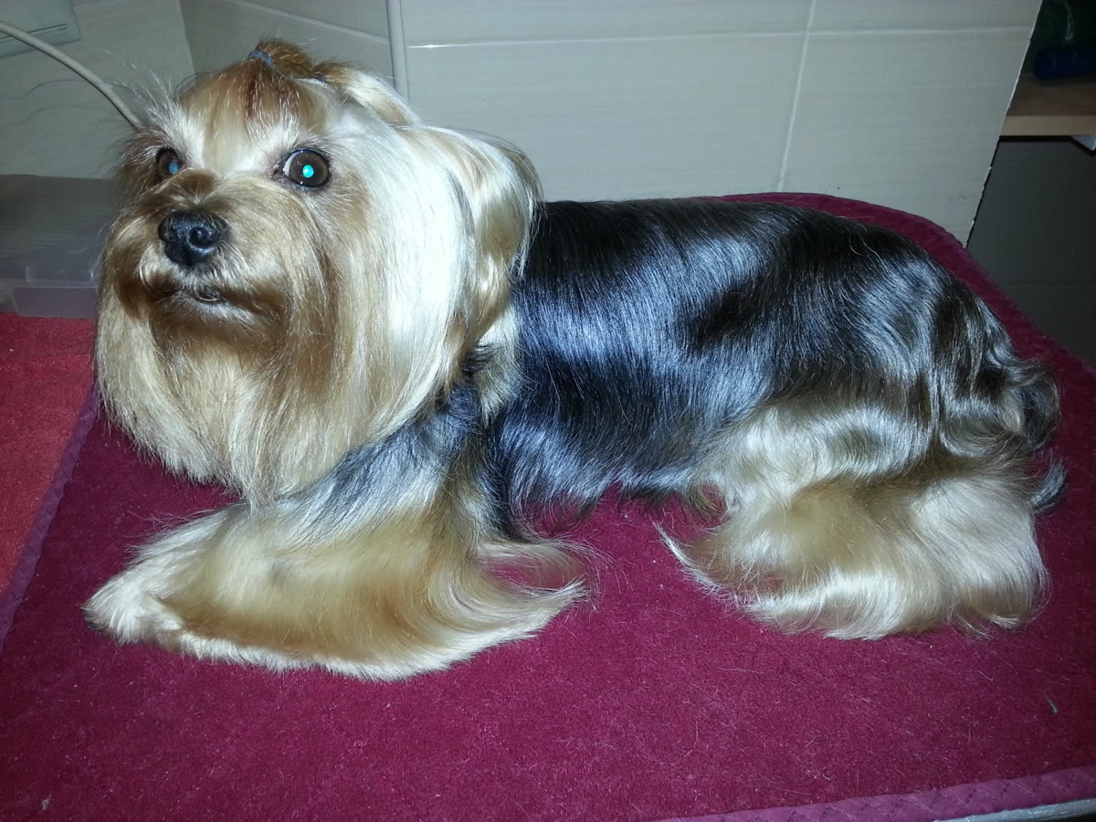 Green Clay Detox Therapy