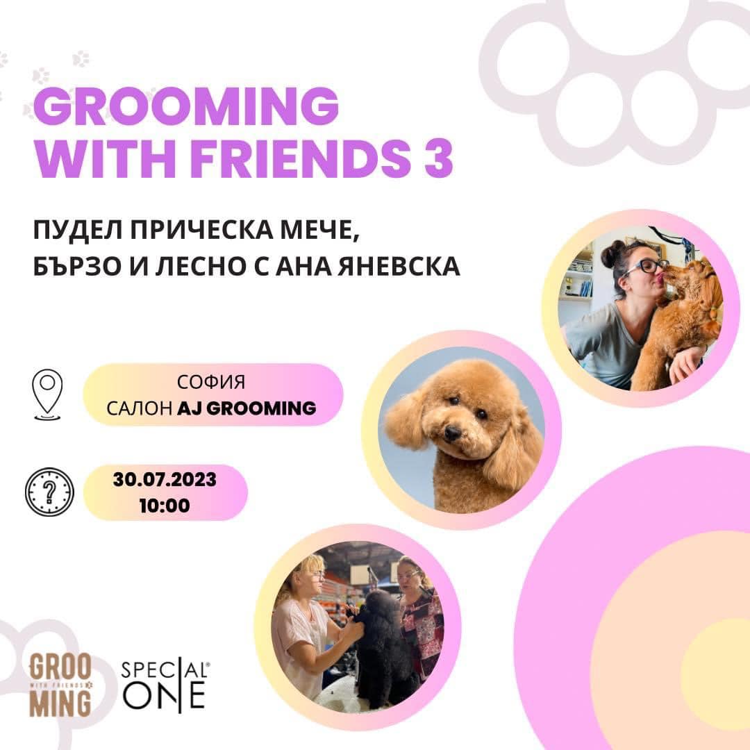 Семинар юли 2023: Бързо и лесно Мече с Ана Яневска