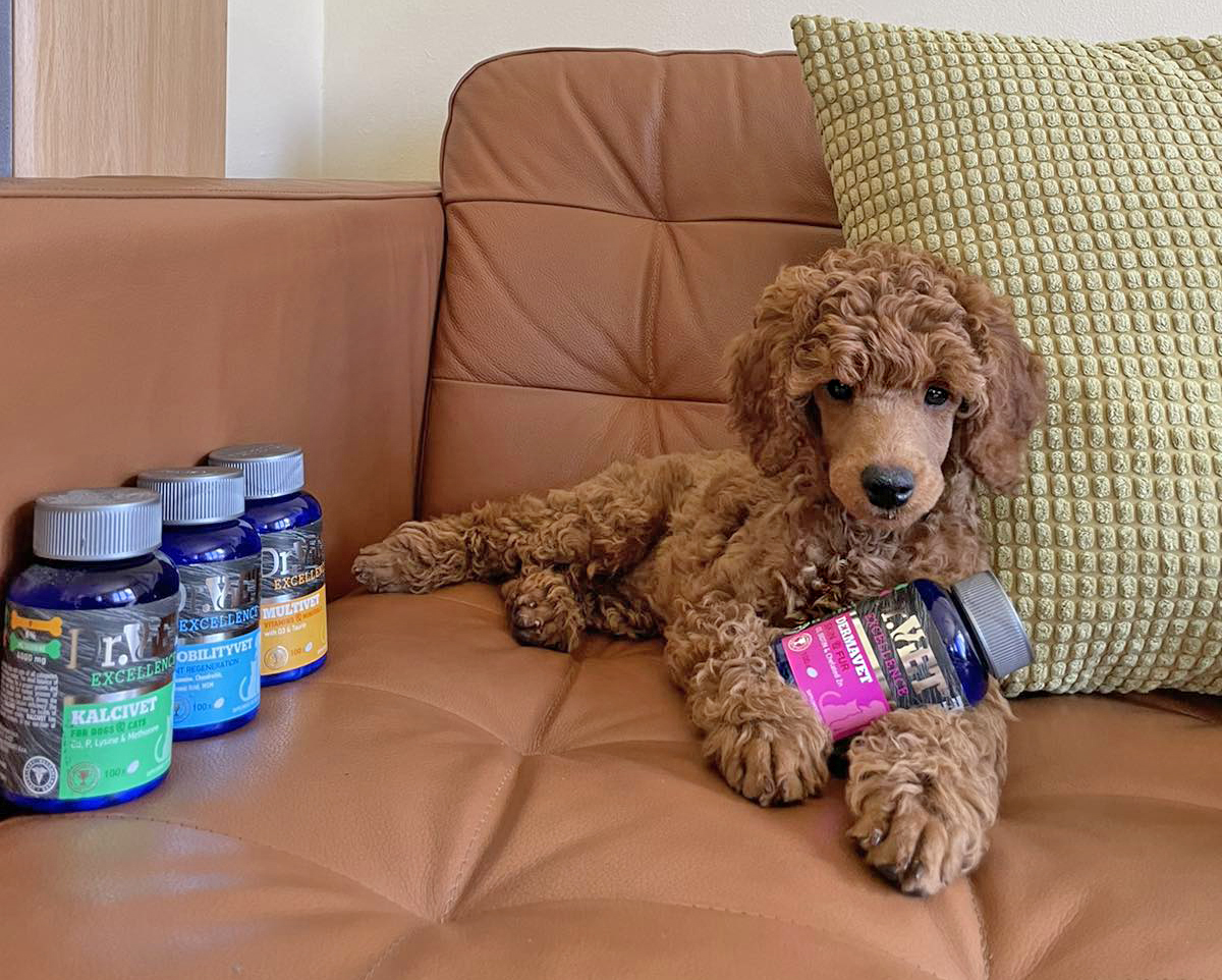 Храна за кученца