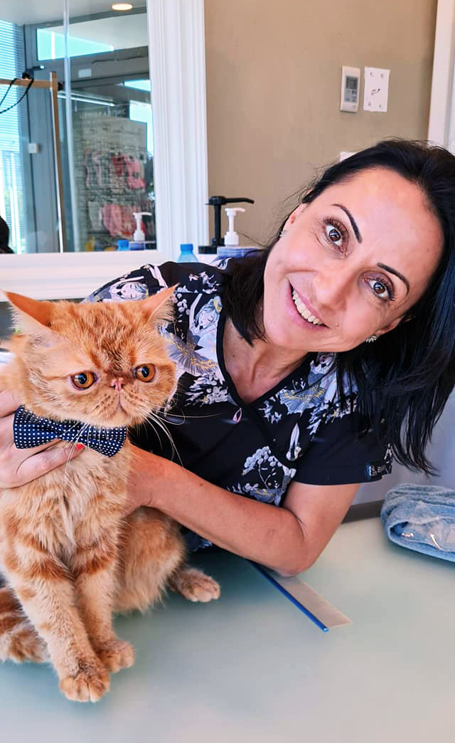 Росица Апостолва, Груминг на кучета.