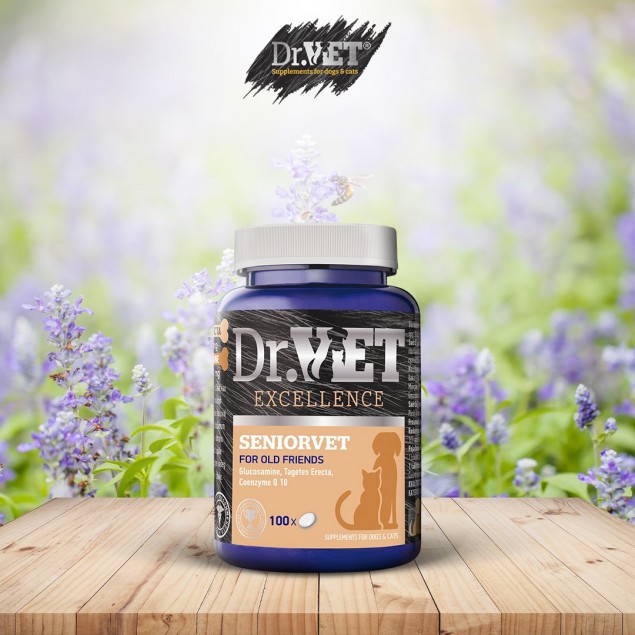 Хранителна добавка за стари кучета