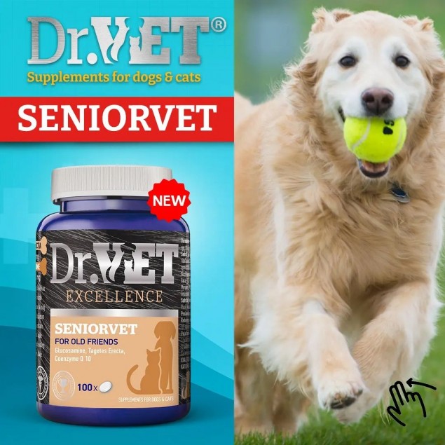 Хранителна добавка за стари кучета