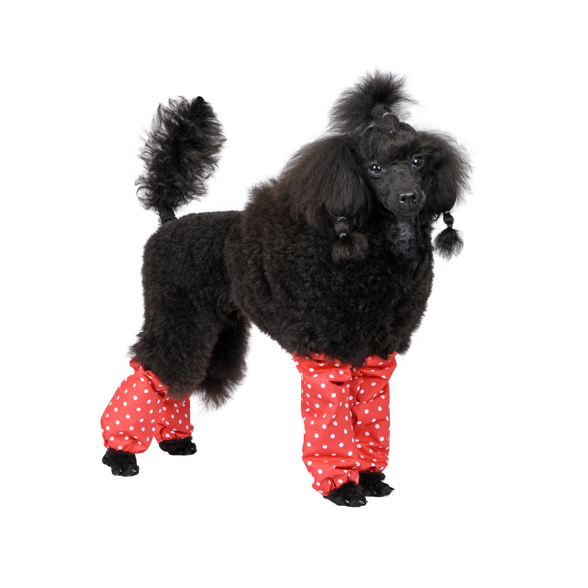 Непромокаеми гети за пудели