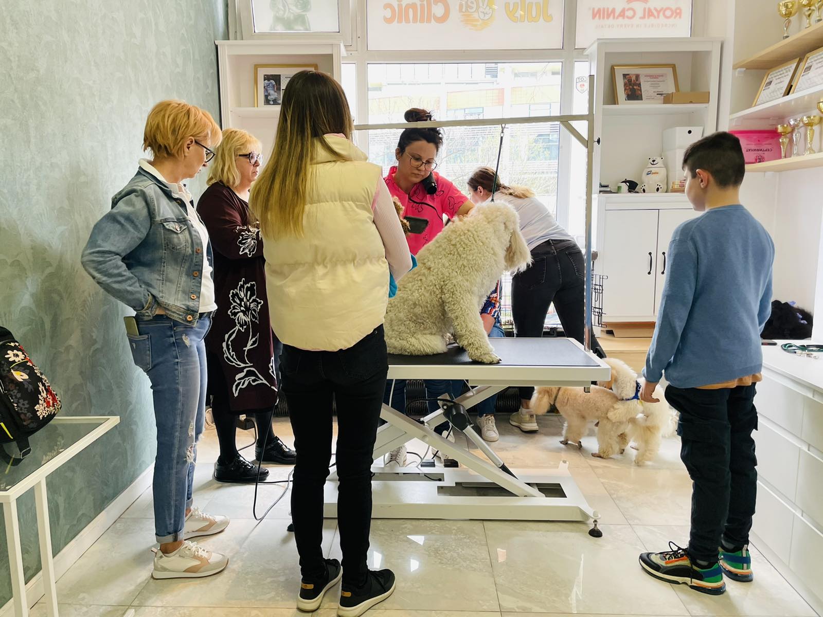 Уъркшоп април 2022: Домашна поддръжка на пудели