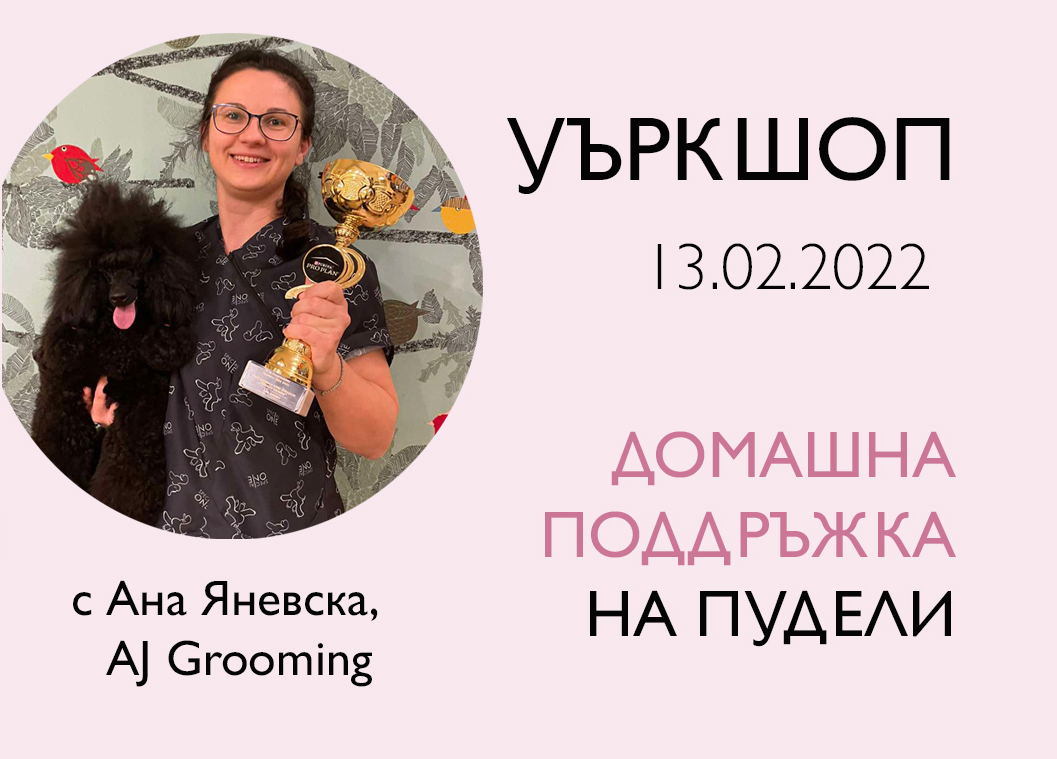 Уъркшоп: Домашна поддръжка на пудели с Ана Яневска
