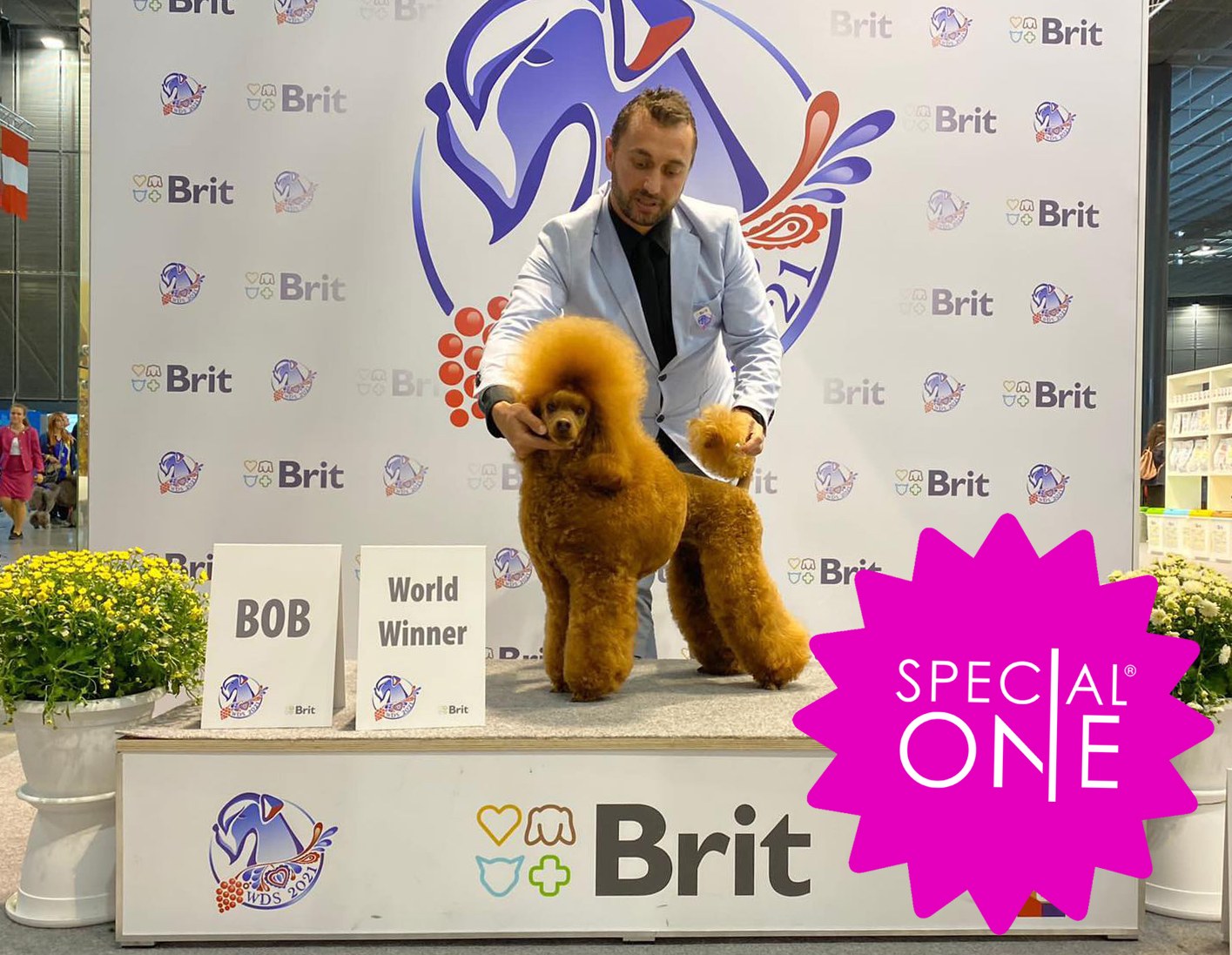 Световните шампиони на Special One – България